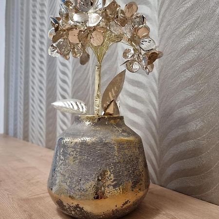 Bivio Apartment Dolna Banská Štiavnica 외부 사진