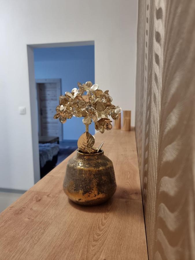 Bivio Apartment Dolna Banská Štiavnica 외부 사진