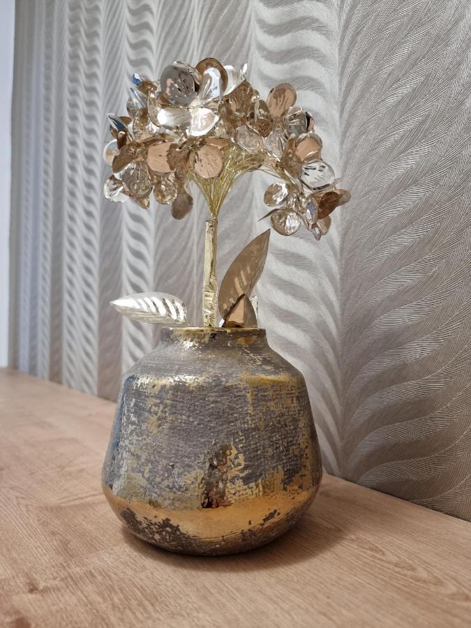 Bivio Apartment Dolna Banská Štiavnica 외부 사진